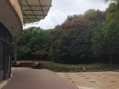 -苏州河梦清园环保主题公园