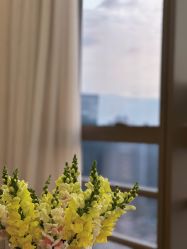 点击看大图 -JNK皮肤管理中心