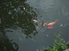 -苏州碑刻博物馆