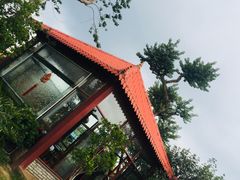 -大地土窑菜馆·特色罗浮农家菜(罗浮山景区店)