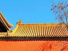 -故宫博物院(故宫)