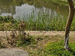 -花溪公园