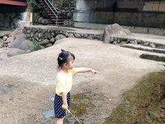 -白云源风景区