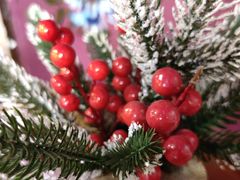 -喀秋莎俄罗斯西餐厅(广州分店)