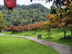 -五泄景区