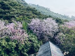 -小南山公园