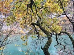 -叠溪松坪沟景区