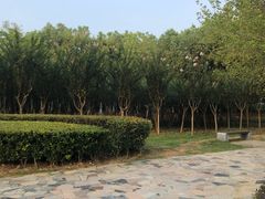 -滨湖塘西河公园