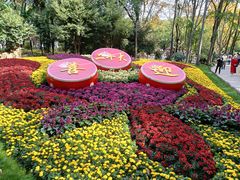 -上海共青森林公园