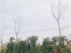 -华夏文化旅游区三甲港海滨区
