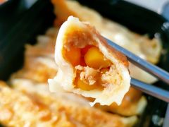-小牛锅贴(西环路店)
