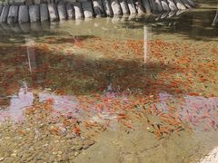 -恋乡太行水镇