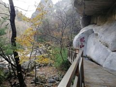 -青峰峡国家森林公园