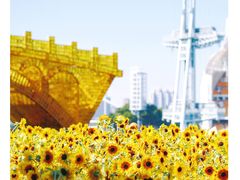 景点-海心沙亚运公园