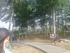 -石家庄市动物园