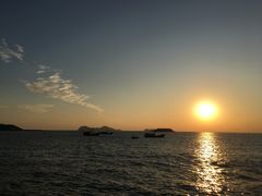 -广东惠东海龟国家级自然保护区