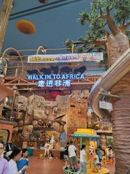 -卡通尼·Safari非洲探索乐园·生日会(金桥国际商业广场店)