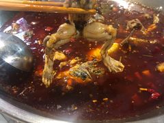 -蛙鱼道美蛙鱼自助火锅(新耍都店)