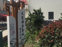 -大莲湖农家乐(青西郊野公园店)