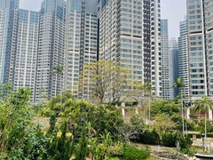 -石排湾郊野公园