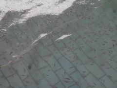 -天山海世界·米立方