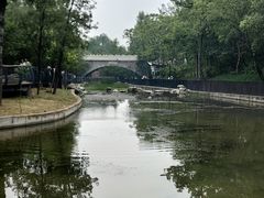 -白水寺森林公园