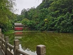 -黔灵山公园