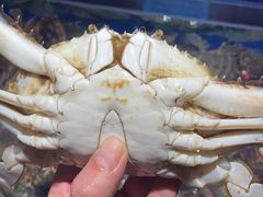 -藜爱·山海情海鲜自助(万达广场店)