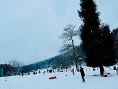 -武陵山森林公园