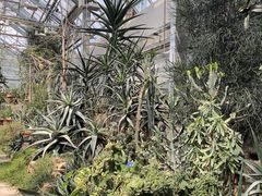 -国家植物园南园