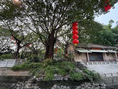 -荔湾湖公园