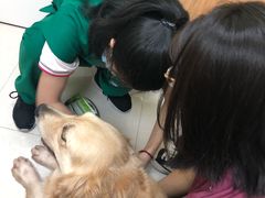 -瑞鹏宠物医院·夜间急症·心超·猫科(祖庙分店)