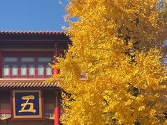 -高旻寺