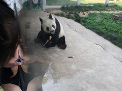 -西安秦岭野生动物园