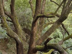 -杭州半山国家森林公园