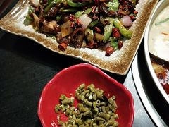 -全乐鱼馆·淳牌有机鱼直营店