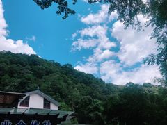 -龙井村
