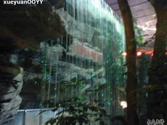 Photo-0194-绿色时代大酒店