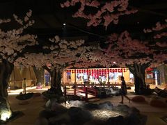 包房-蓝鲸湾汤泉(包河店)