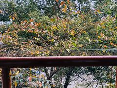 -天目湖御水温泉·度假酒店