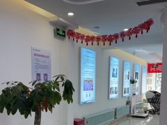 -北京观赏动物医院·24小时大型综合·猫专科·异宠专科