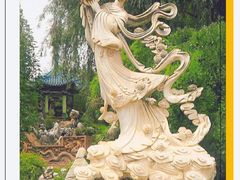 -曹州牡丹园