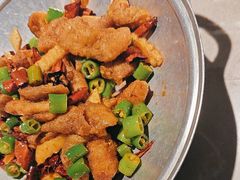 -新渝城·川菜·火锅(区庄店)