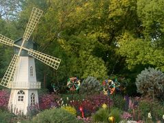 -上海共青森林公园