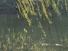 -天鹅湖体育公园