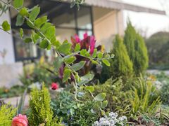 -叁山与肆客服号民宿(龙泉阳光城百工堰公园店)