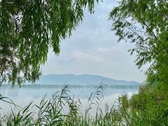 -长兴太湖图影湿地文化园