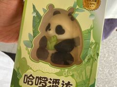 -都江堰中华大熊猫苑