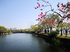 -无锡蠡湖国家湿地公园-蠡园