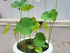 -西安市广仁寺